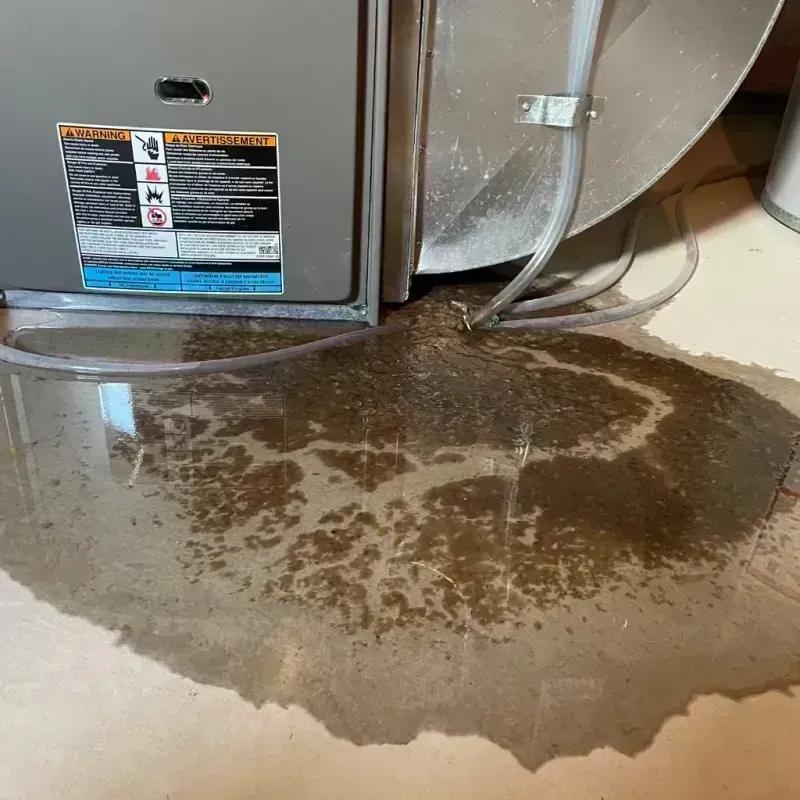 Appliance Leak Cleanup in Saranap, CA